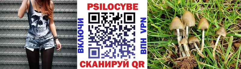 Псилоцибиновые грибы Psilocybine cubensis  Давлеканово 